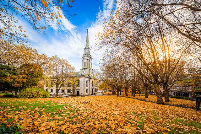 St. Paul's Square in autumn